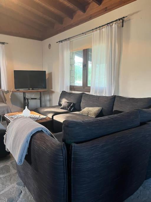 Casa vacanze Olive Garden Toroni