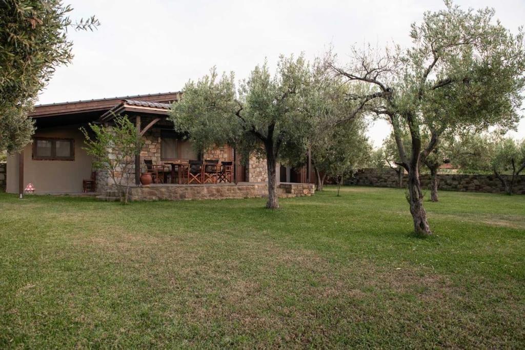 Casa vacanze Olive Garden *